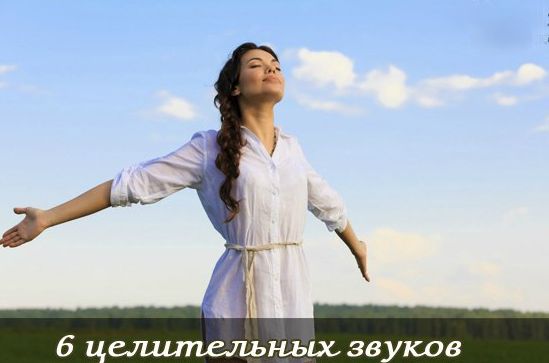 Звуки жизни
