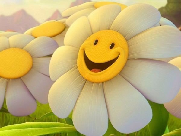 12 улыбчивых цитат из нашей жизни.