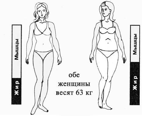 10 заповедей худеющего человека