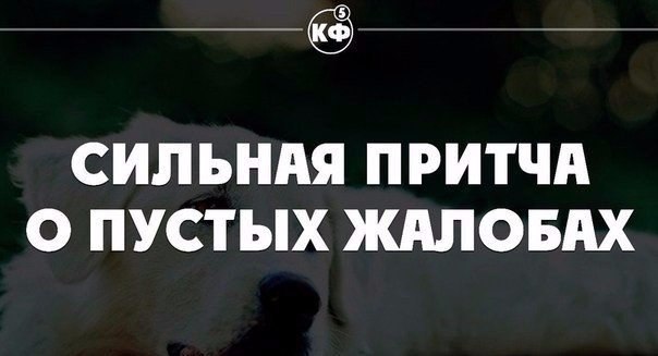 На гвозде