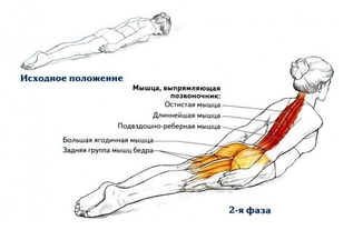 Для королевской осанки